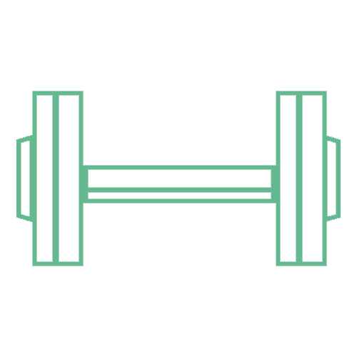 dumbbell icon